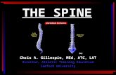 THE SPINE Chris A. Gillespie, MEd, ATC, LAT Director, Athletic Training Education Samford University.