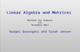 Linear Algebra and Matrices Methods for Dummies FIL November 2011 Narges Bazargani and Sarah Jensen Linear Algebra and Matrices Methods for Dummies FIL.