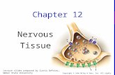 Copyright © John Wiley & Sons, Inc. All rights reserved. Chapter 12 Nervous Tissue Lecture slides prepared by Curtis DeFriez, Weber State University.