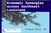 Economic Synergies across Southeast Louisiana Elaine Ortiz, MS Allison Plyer, MBA, ScD.