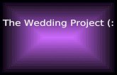 The Wedding Project (:. Invitations..Invitations.. Terra Bella Wedding Invitations  bella-wedding-invitations.html.