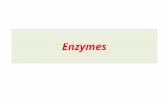 Enzymes. Definition of an enzyme Enzymeprotein Enzyme is protein catalystincrease the rate of reactions catalyst (i.e. increase the rate of reactions)