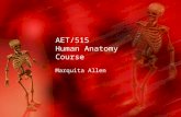 AET/515 Human Anatomy Course Marquita Allen. Needs Assessment This course is designed to introduce students to the concepts and applications of Human.