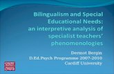 Dermot Bergin D.Ed.Psych Programme 2007-2010 Cardiff University.