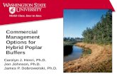 Commercial Management Options for Hybrid Poplar Buffers Carolyn J. Henri, Ph.D. Jon Johnson, Ph.D. James P. Dobrowolski, Ph.D.