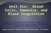 Chapter 33: Resistance of the Body to Infection. I. Leukocytes, Granulocytes, the Monocyte-Macrophage System, and Inflammation Guyton and Hall, Textbook.