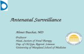 Antenatal Surveillance Ahmet Baschat, MD Professor Head, Section of Fetal Therapy Dep. of Ob/Gyn, Reprod. Sciences University of Maryland School of Medicine.