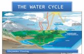 THE WATER CYCLE Alejandra Clasing Ruby Sedas. 5 steps of the water cycle:
