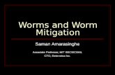 Worms and Worm Mitigation Saman Amarasinghe Associate Professor, MIT EECS/CSAIL CTO, Determina Inc.