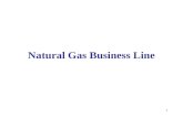 Natural Gas Business Line 1. Strategies- NG Business Line Consolidation of CNG Marketing through our existing Retail network HPCL’s Participation in CGD.