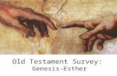 Old Testament Survey: Genesis-Esther. Leviticus Altar at tel Dan.