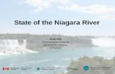 State of the Niagara River Brad Hill Environment Canada Burlington, Ontario CANADA.