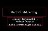 Dental Whitening Jeremy Bojnowski – Robert Martin Lake Shore High School.