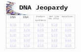 DNARNA Protein synthesis Not like the other mutations $10 $20 $30 $40 $50 DNA Jeopardy.