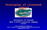 Principles of Livestock Judging University of Florida 2012 4-H/FFA Livestock Judging Clinic Full presentation online at .