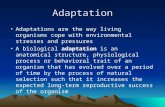 Adaptation Adaptations are the way living organisms cope with environmental stresses and pressures A biological adaptation is an anatomical structure,