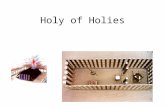 Holy of Holies. 20 boards on south and north sides 6 boards with 2 corner boards on west end. Total of 48 boards –Tabernacle: 30 cubits long (45.