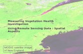 Measuring Vegetation Health Investigation Using Remote Sensing Data : Spatial Aspects MODIS satellite image of New England.