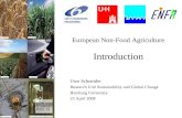 European Non-Food Agriculture Introduction Uwe Schneider Research Unit Sustainability and Global Change Hamburg University 23 April 2008.
