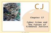 CJ © 2011 Cengage Learning Chapter 17 Cyber Crime and The Future of Criminal Justice.