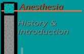 Anesthesia History & Introduction.  History  Part 1.