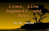 Lines, Line Segments, and Rays By Mr. Bales Objective By the end of the lesson, you will be able to identify, describe, and classify lines, line segments,