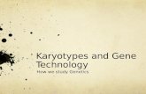 Karyotypes and Gene Technology How we study Genetics.