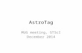 AstroTag MUG meeting, STScI December 2014. Data Tagging Storing associations between data sets and tags (words/phrases) – IPPPSSOOT {w_1, w_2, …, w_n}