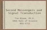 Second Messengers and Signal Transduction Tim Bloom, Ph.D. 104A Hall of Science 893-1712.