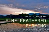 CHAPTER 22 FINE-FEATHERED FARMING CHAPTER 22 AGRICULTURE FINE-FEATHERED FARMING Creative solutions to feeding the world In Japan, the quiet rice paddies.