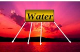 Water. Buried Water Molecules -Binding -Reactions Surface Water Molecules -Structure -Dynamics -Effect on Protein Motions Water in and on Proteins.