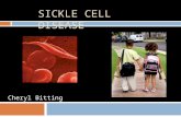 SICKLE CELL DISEASE Cheryl Bitting. What is Sickle Cell Disease?  Sickle Cell Disease (SCD) is an inherited blood disorder that affects red blood cells.