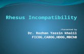 Presented by: Dr. Rozhan Yassin khalil FICOG,CABOG,HDOG,MBChB.