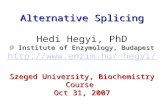 Alternative Splicing Institute of Enzymology, Budapest hegyi/ Szeged University, Biochemistry Course Oct 31, 2007 Alternative Splicing.