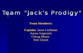 Team Members: Captain: Jason Lichtman Aaron Angerami Chirag Bhatia Neil Ghosh.