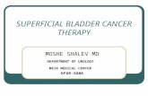 SUPERFICIAL BLADDER CANCER THERAPY MOSHE SHALEV MD DEPARTMENT OF UROLOGY MEIR MEDICAL CENTER KFAR-SABA.