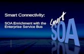 Smart Connectivity: SOA Enrichment with the Enterprise Service Bus.