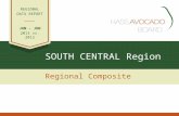 SOUTH CENTRAL Region Regional Composite REGIONAL DATA REPORT JAN - JUN 2013 vs. 2012.