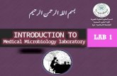 General Microbiology Laboratory Reference :  Microbiology Laboratory Manual By Abdelraouf Elmanama. Grade:  Final Exam ( 50 Points ).  Theoretical.