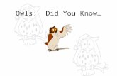 Owls: Did You Know…. Burrowing Owl The burrowing owl is only 9 to 10 inches tall. It can be found in the prairie and range lands.