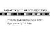 PARATHYROID GLAND DISEASES Primary hyperparathyroidism Hypoparathyroidism.