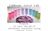 Cabbage Juice Lab Purpose: To test the pH of different solutions using cabbage juice.