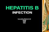 HEPATITIS B INFECTION Innovative Biotech Ltd Abuja Keffi USA.