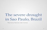 The severe drought in Sao Paulo, Brazil Mariana Ramos Del Corso.