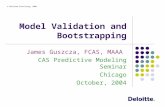 © Deloitte Consulting, 2004 Model Validation and Bootstrapping James Guszcza, FCAS, MAAA CAS Predictive Modeling Seminar Chicago October, 2004.