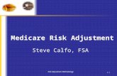 Risk Adjustment Methodology 1-1 Medicare Risk Adjustment Steve Calfo, FSA.