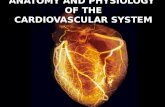 ANATOMY AND PHYSIOLOGY OF THE CARDIOVASCULAR SYSTEM.