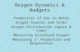 Properties of Gas in Water Oxygen Sources and Sinks Oxygen Distribution (space & time) Measuring Dissolved Oxygen Measuring 1º Production and Respiration.