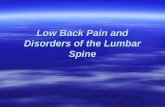 Low Back Pain and Disorders of the Lumbar Spine. Risk Factors  Occupational Factors (lifting-pulling-pushing-slipping  Sitting-vibration-dissatisfying)