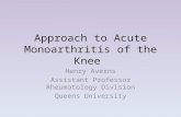 Approach to Acute Monoarthritis of the Knee Henry Averns Assistant Professor Rheumatology Division Queens University.